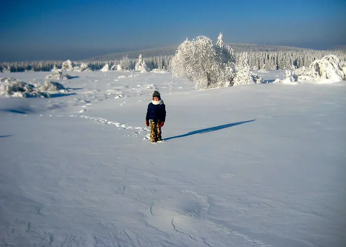 Landhaus Voss Vendégház Winterberg